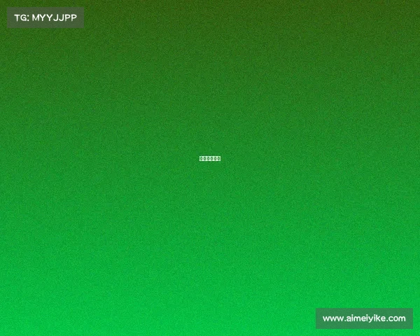 应城市电子厂 应城市电子厂